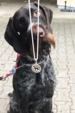 Jagdhundesilhouette Kettenanhänger Rund 14mm