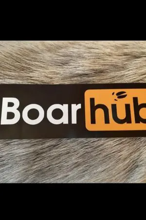 Boarhub Aufkleber 15x5cm